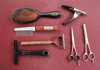 Golden Retriever grooming tools